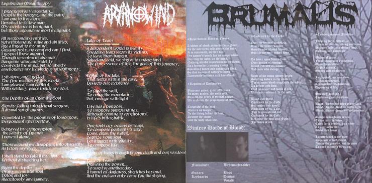 2003. Aryan Wind  Brumalis  Valhalla Saints - Darkness, Hatred And War - Booklet.jpg