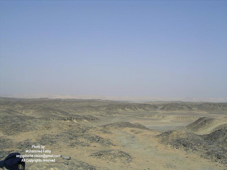 Desert - Desert 110.jpg