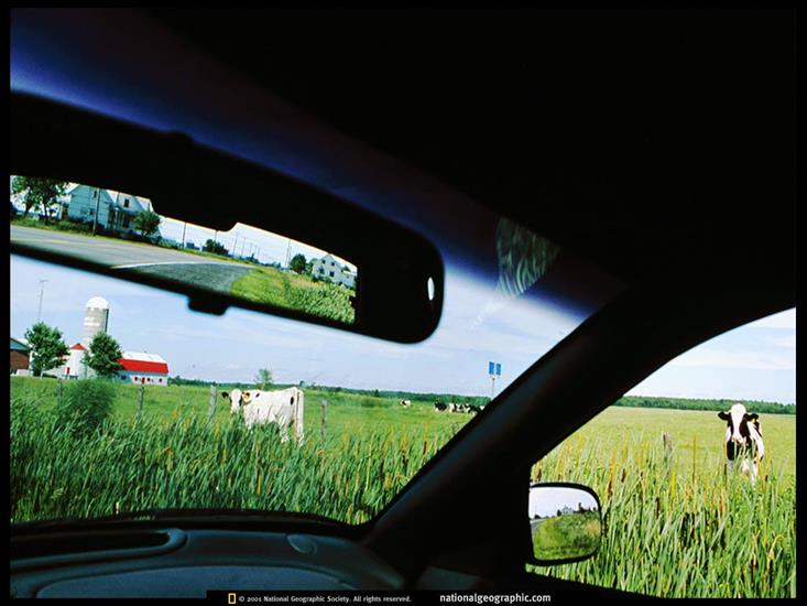 tapety-National Geographic-724 szt. Photos - National Geographic Photos 687.jpg