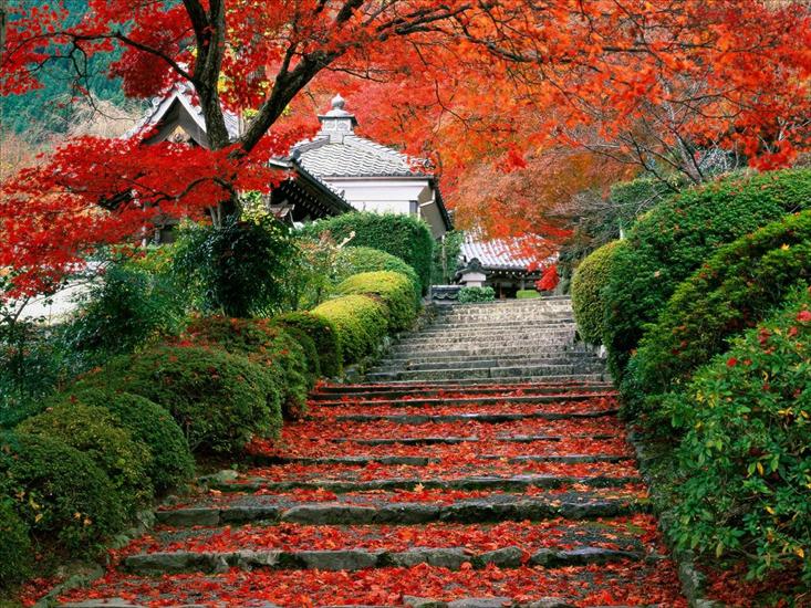 JAPONIA 2 - Garden Staircase, Kyoto, Japan.jpg