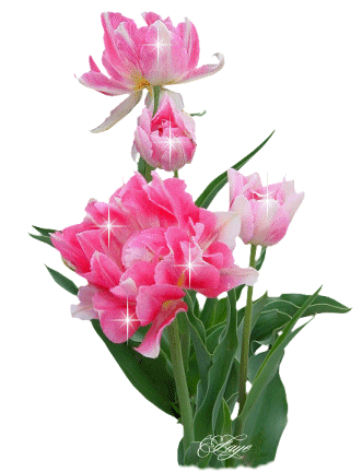 DODATKI DO RAMEK - tulipany.gif