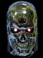 avatary - The Terminator small.jpg