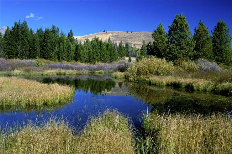 Tapety - Beaver Ponds, Sun Valley, Idaho.jpg