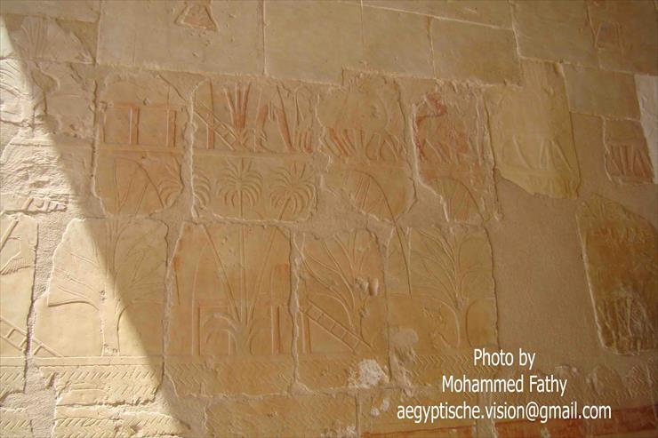 Świątynia w Hatshepsut - Świątynia w Hatshepsut 16.jpg
