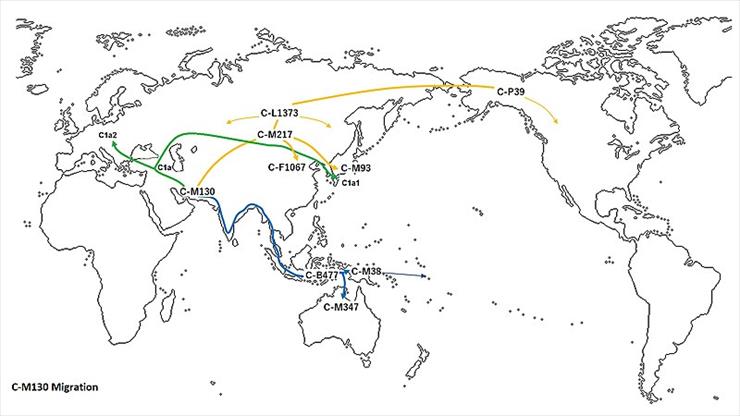 Indie - mapy - Migracja haplogrupy C130. 800px-CM130-Migration.jpg