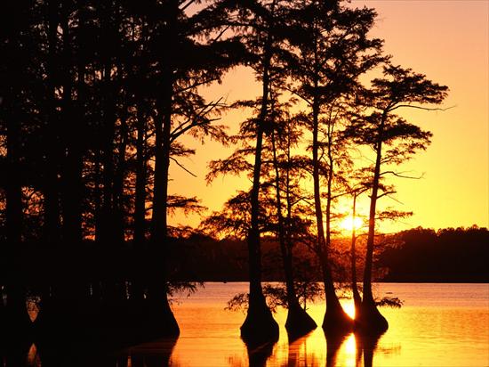 26 Landscapes różne - Sunset on Reelfoot Lake, Tennessee.jpg